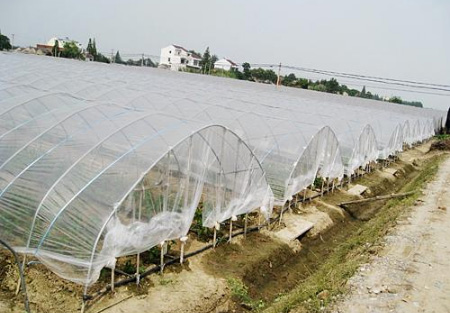 Classification and selection methods for plastic greenhouse films